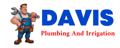 Trusted plumber in DRAPER